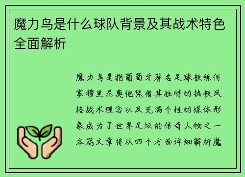 魔力鸟是什么球队背景及其战术特色全面解析
